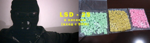 хмурый Алзамай