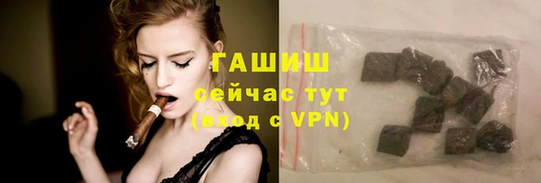 хмурый Алзамай