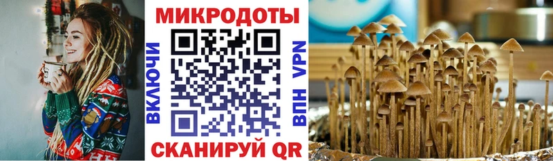 наркота  omg ссылки  Псилоцибиновые грибы Cubensis  Уяр 